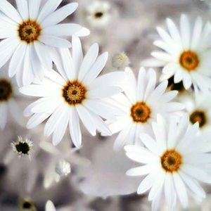 Meet your Posher, Leanne